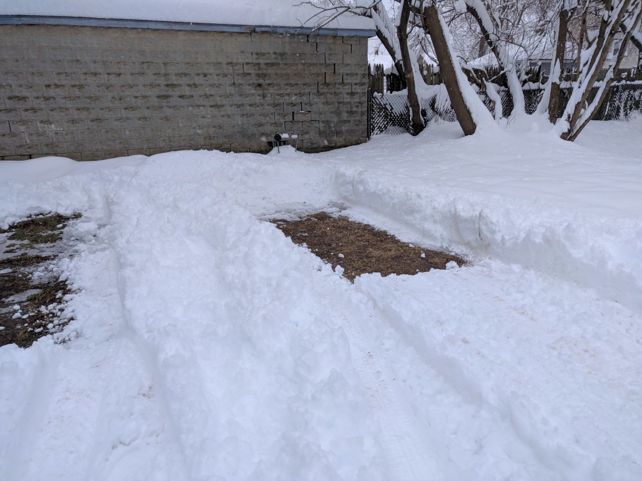 IMG_20190304_085651.jpg