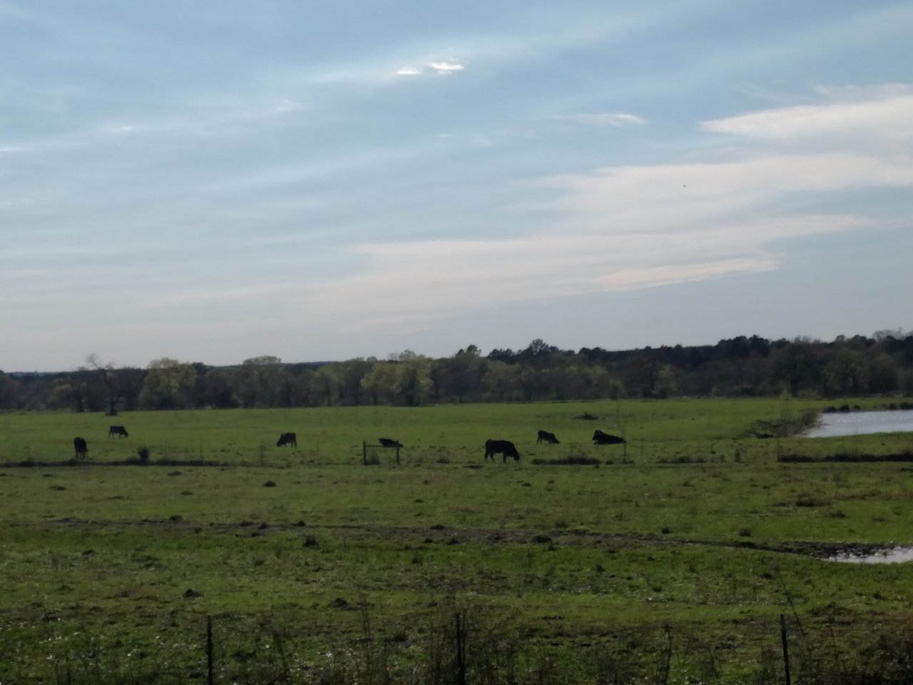 IMG_20190314_164230724.jpg