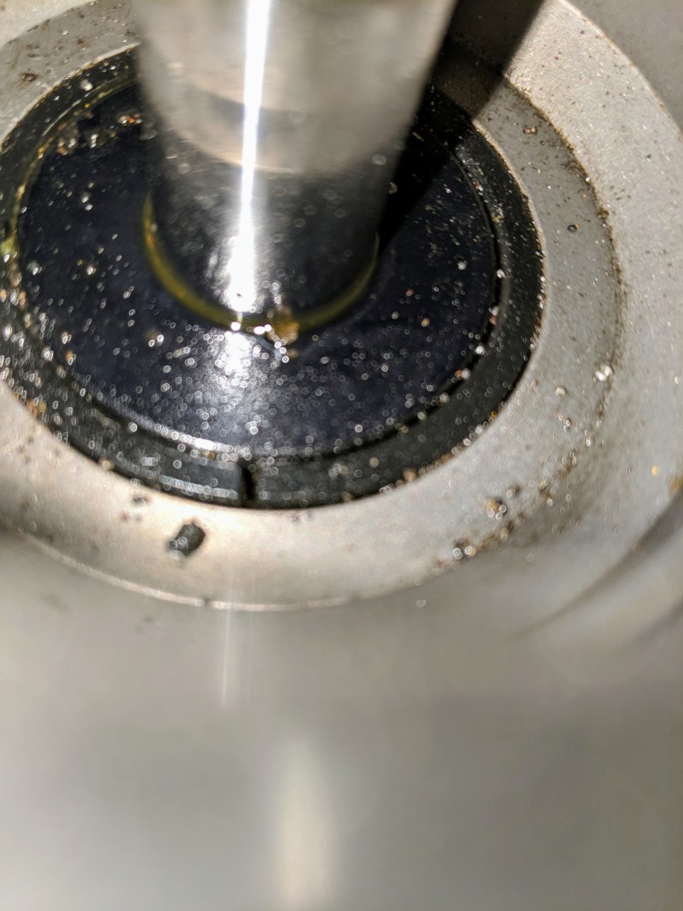 IMG_20190317_181952.jpg
