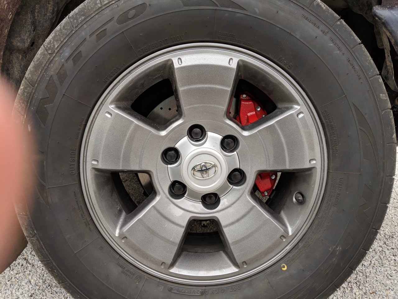 IMG_20190401_152505.jpg