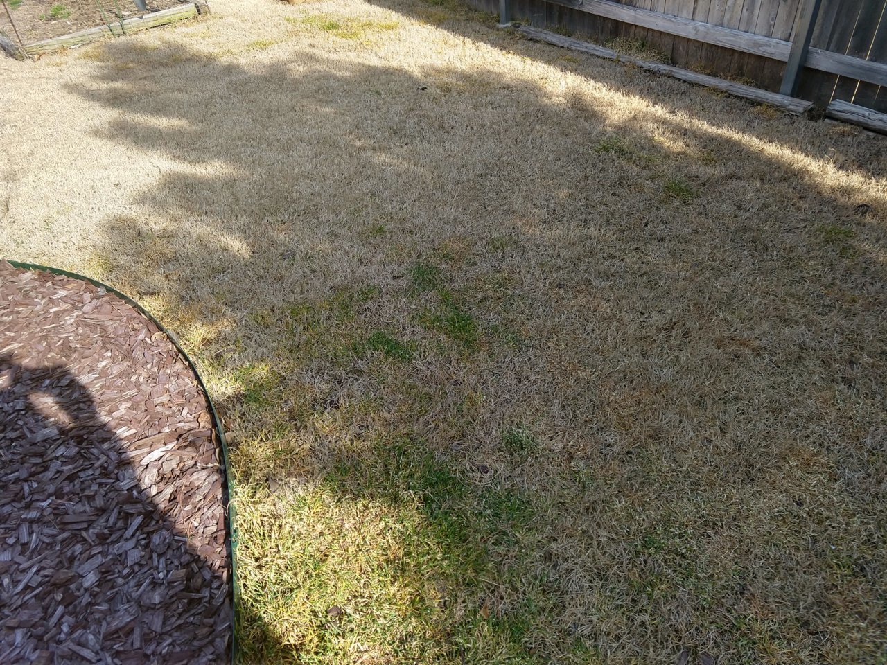 IMG_20190403_100513943_HDR.jpg