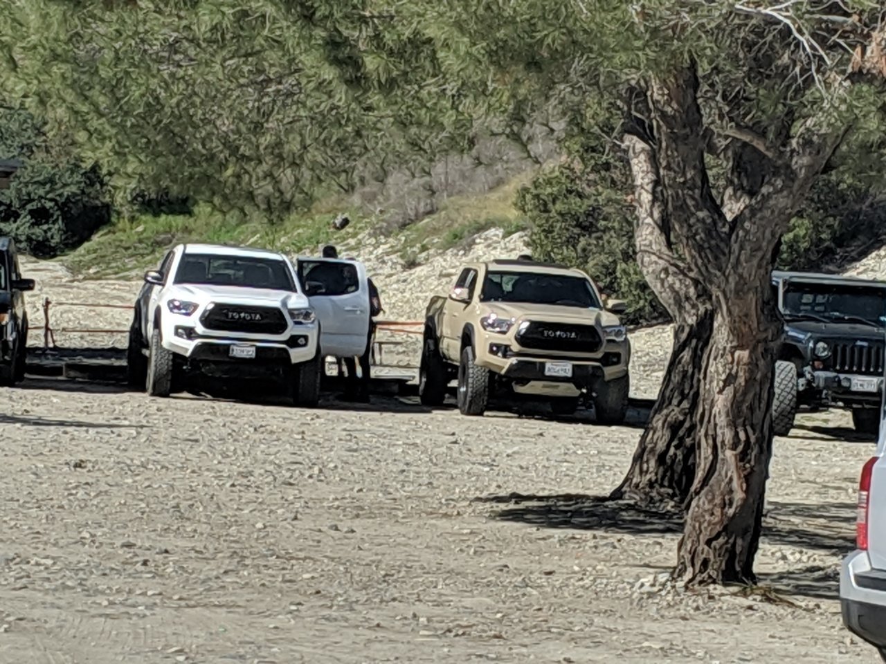 IMG_20190406_094138.jpg