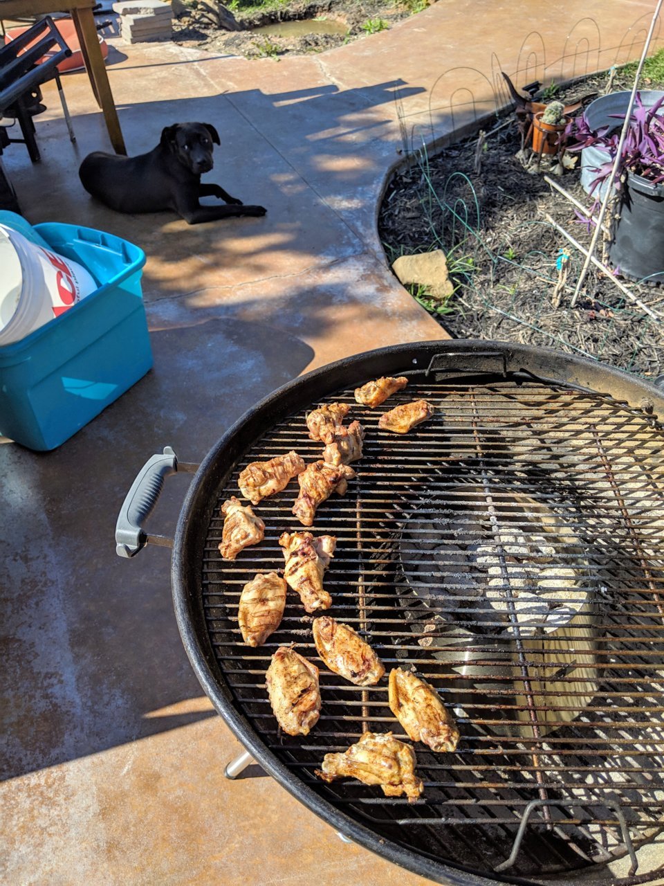 IMG_20190414_164741.jpg