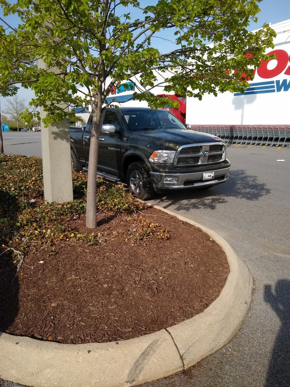 IMG_20190418_171634245.jpg