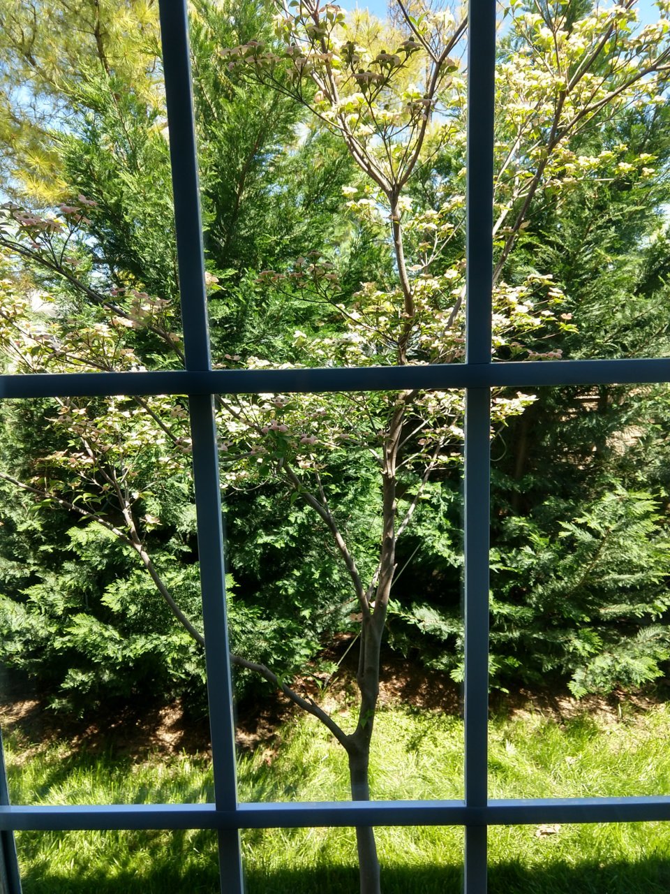IMG_20190419_143024410_HDR.jpg