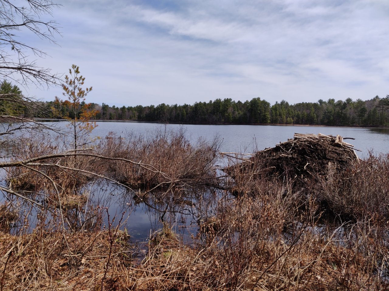 IMG_20190428_111937.jpg