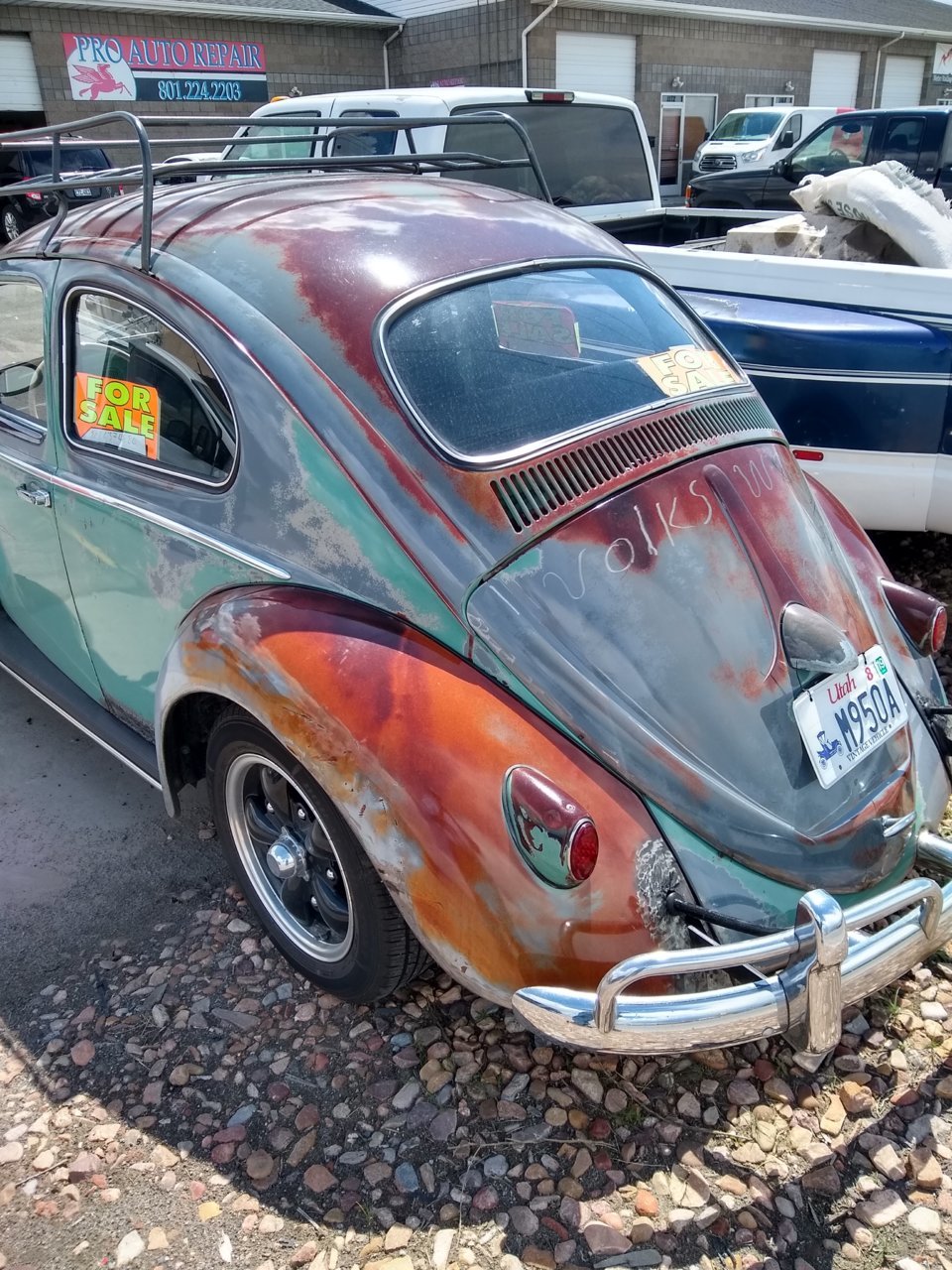 IMG_20190509_115504345_HDR.jpg