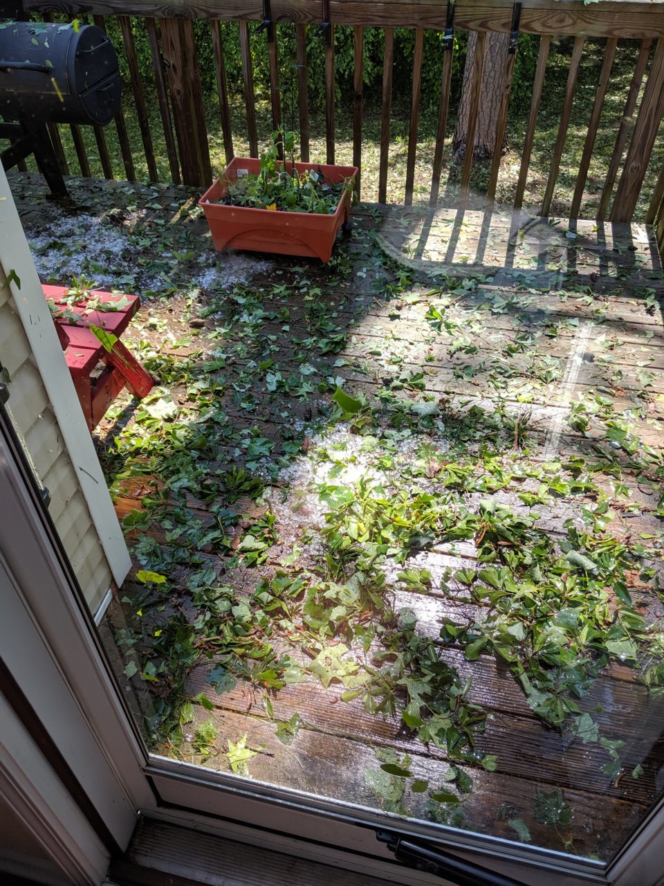 IMG_20190513_152643.jpg