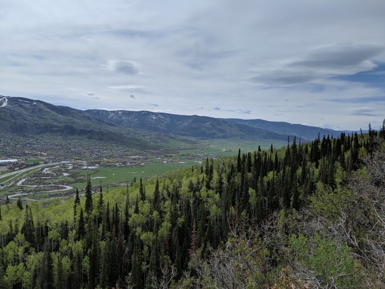IMG_20190516_100712.jpg