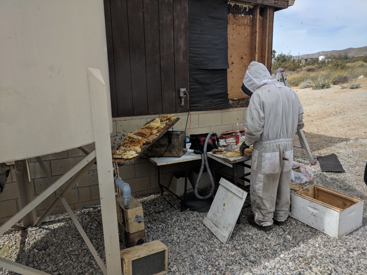 IMG_20190518_101051.jpg