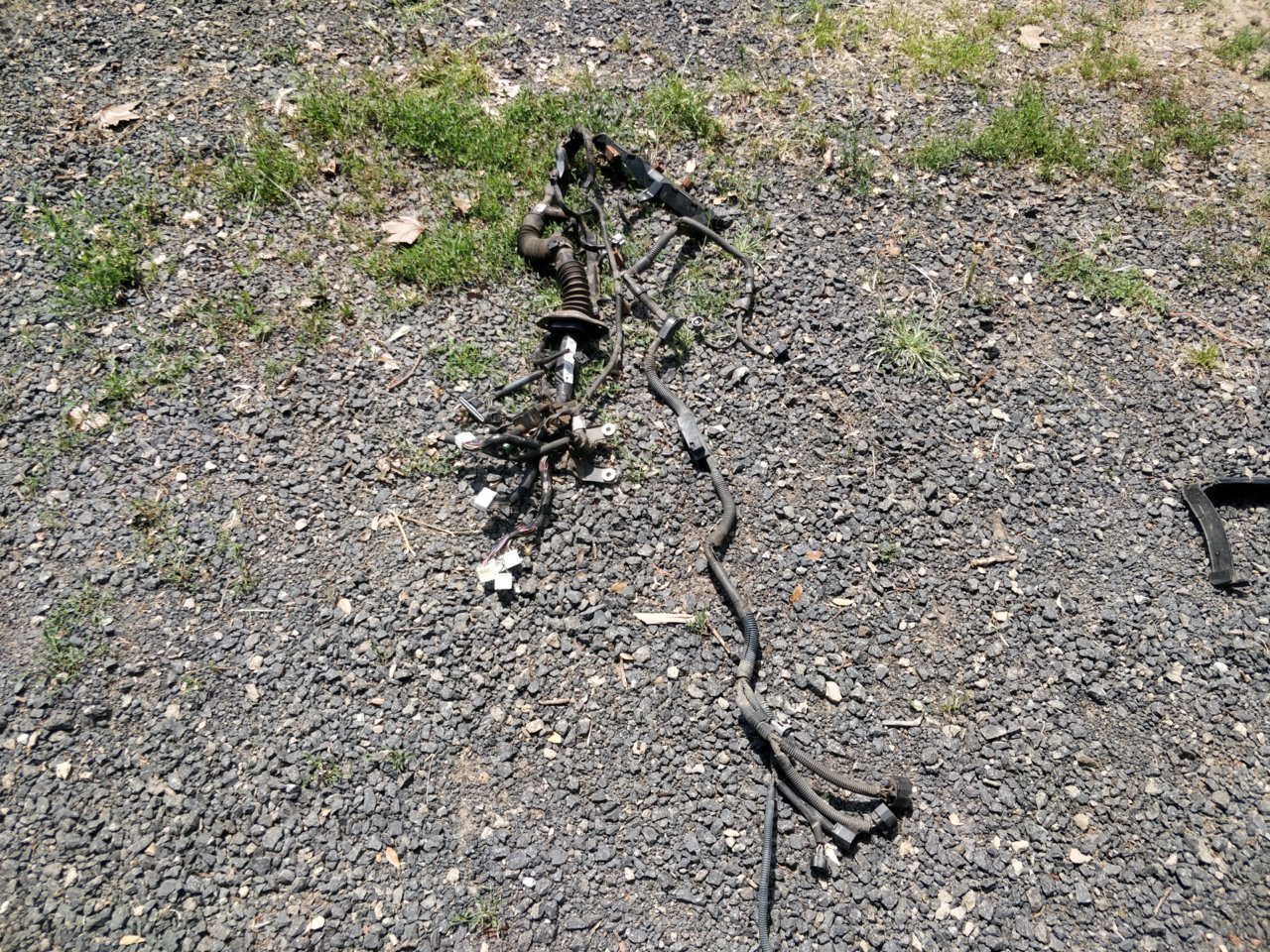 IMG_20190525_130730.jpg