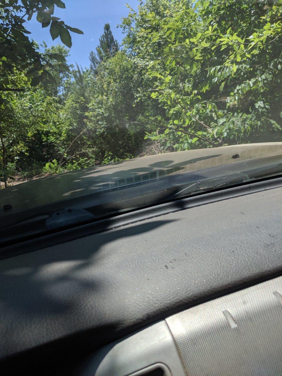 IMG_20190526_124954.jpg