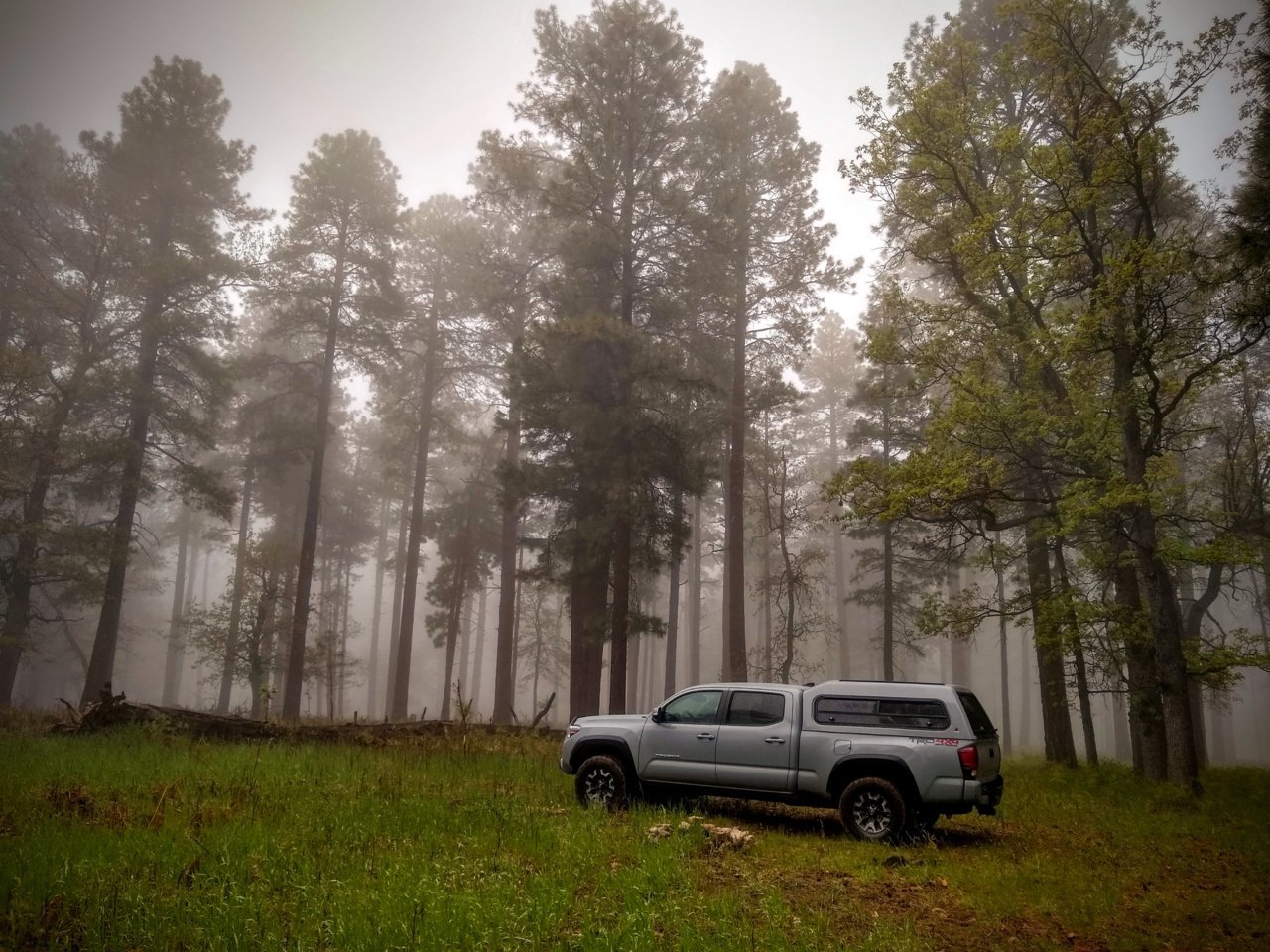 IMG_20190527_084448523_HDR (1).jpg