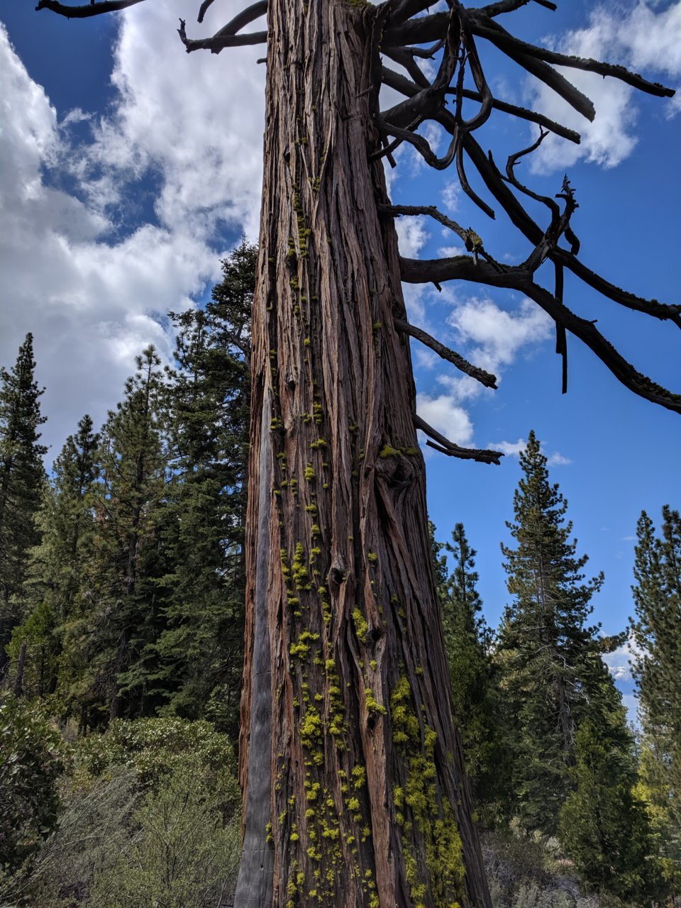 IMG_20190529_111557.jpg