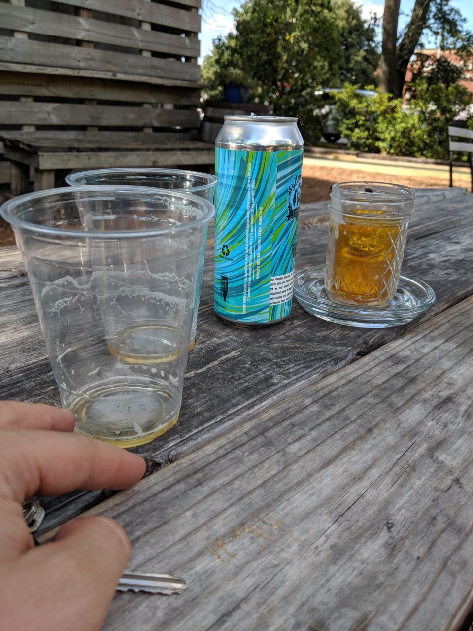 IMG_20190601_162853.jpg