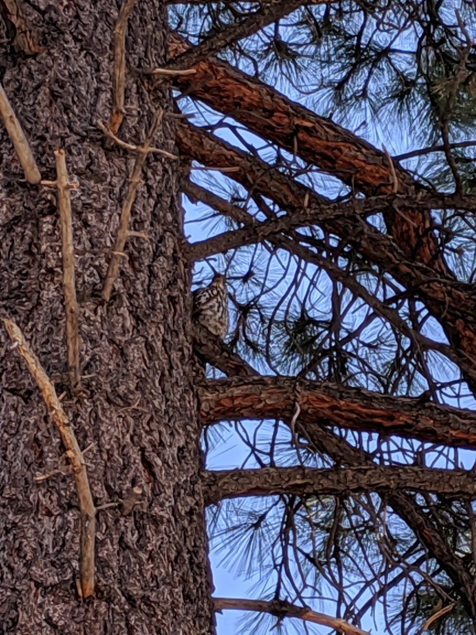 IMG_20190604_115525.jpg