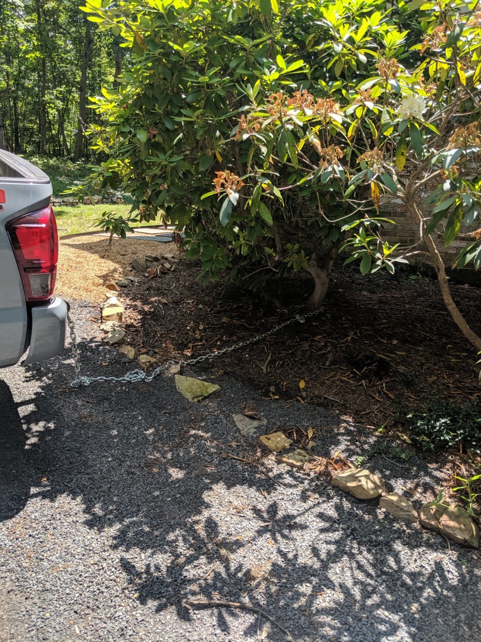 IMG_20190606_115039.jpg