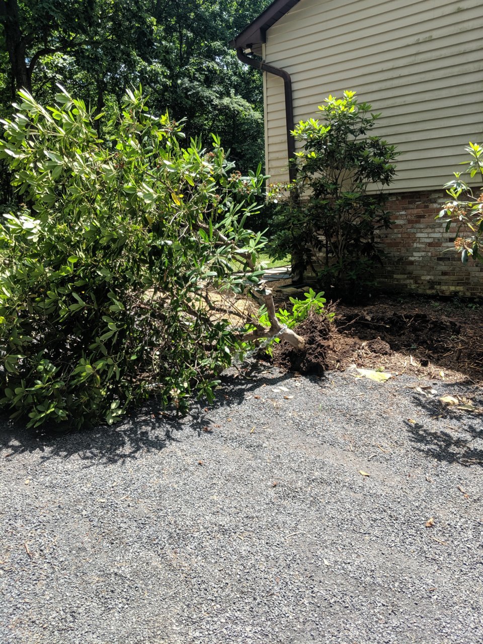 IMG_20190606_115348.jpg