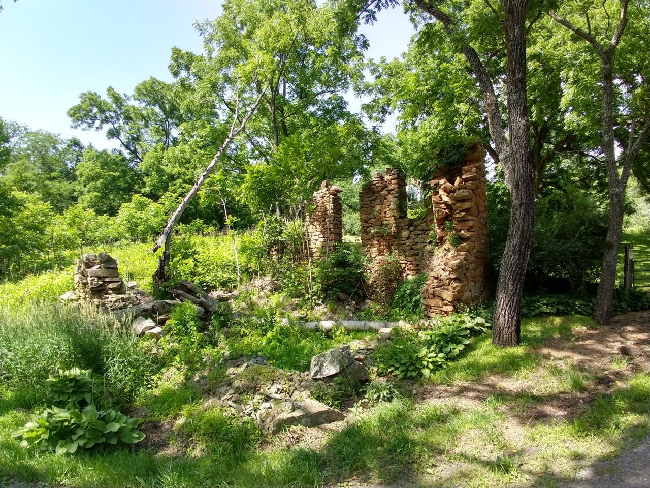 IMG_20190615_152041396_HDR.jpg