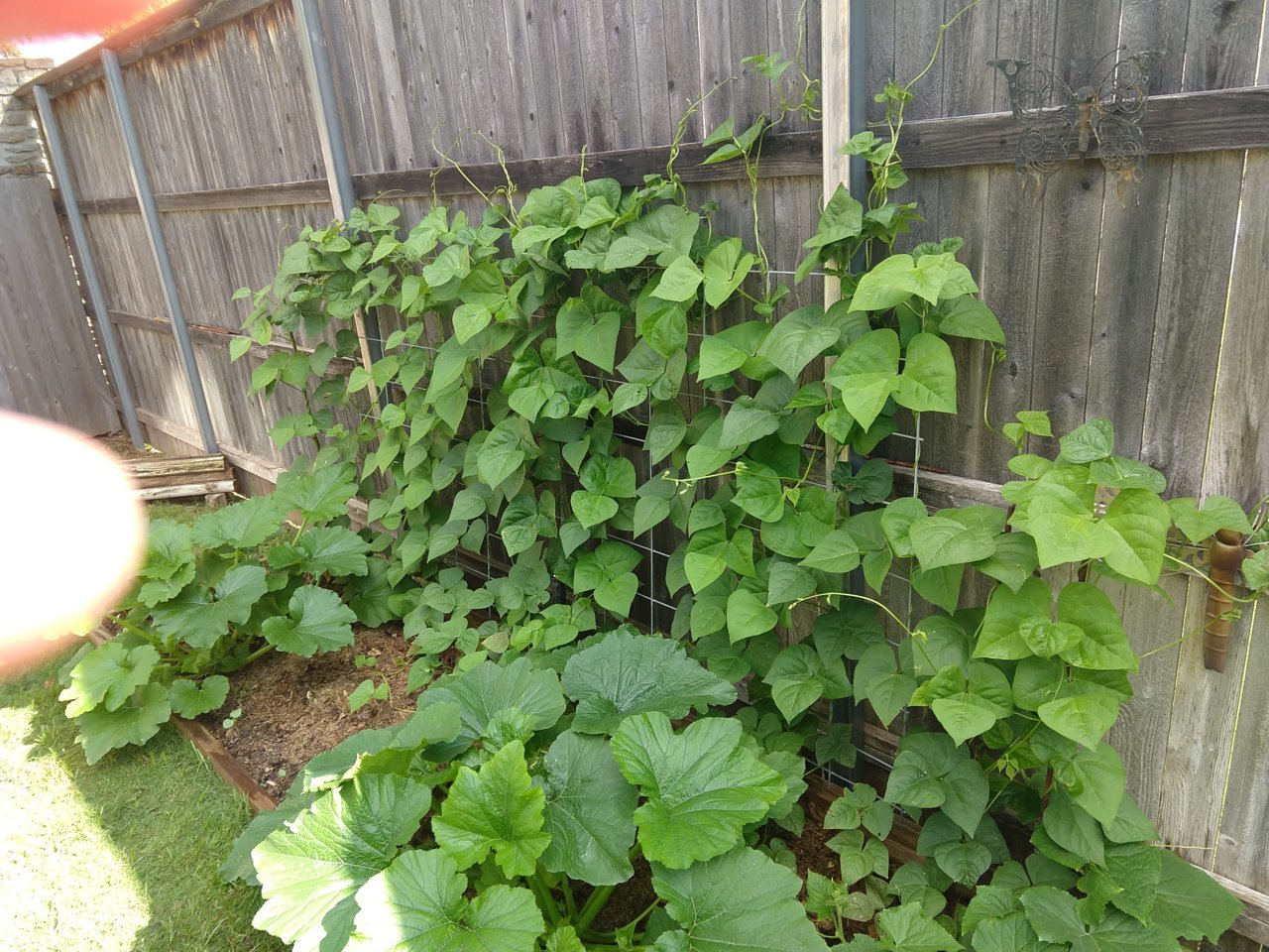 IMG_20190619_094133389.jpg
