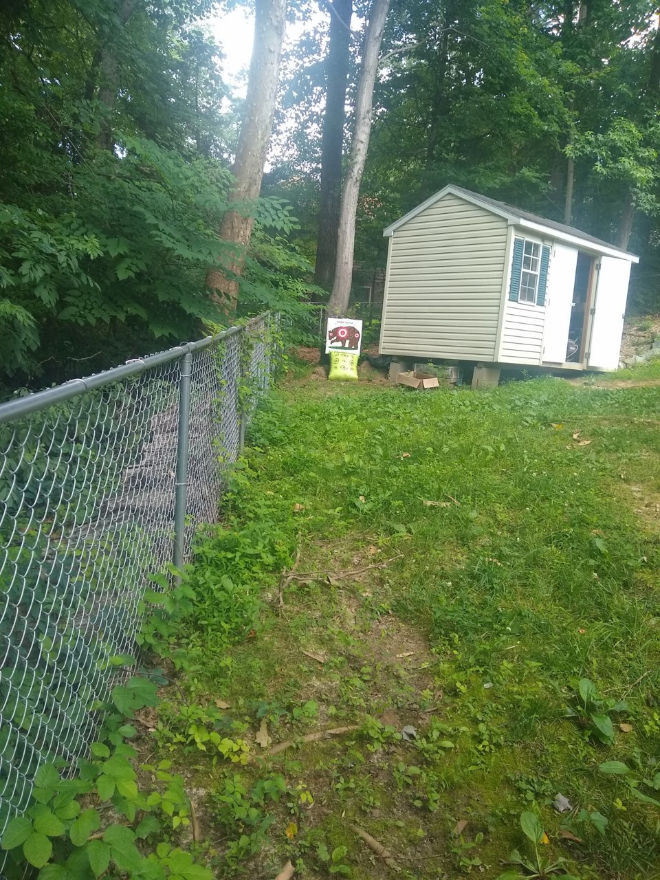 IMG_20190620_112404222.jpg