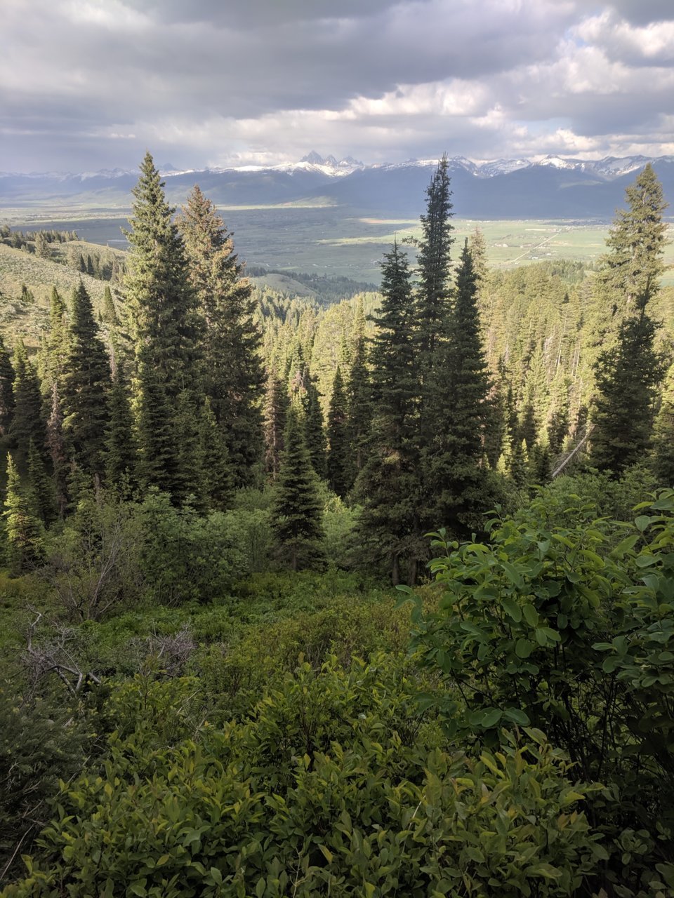IMG_20190620_183602.jpg