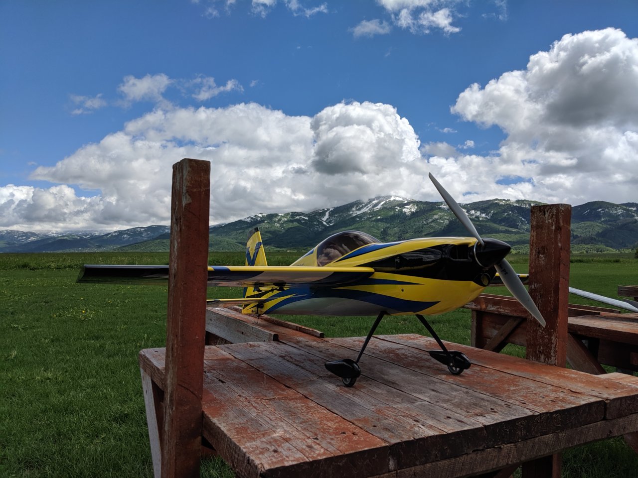 IMG_20190622_105902.jpg