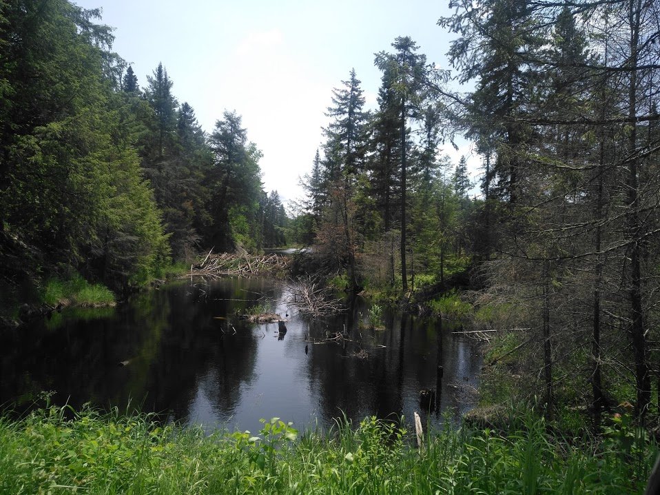 IMG_20190622_131000.jpg