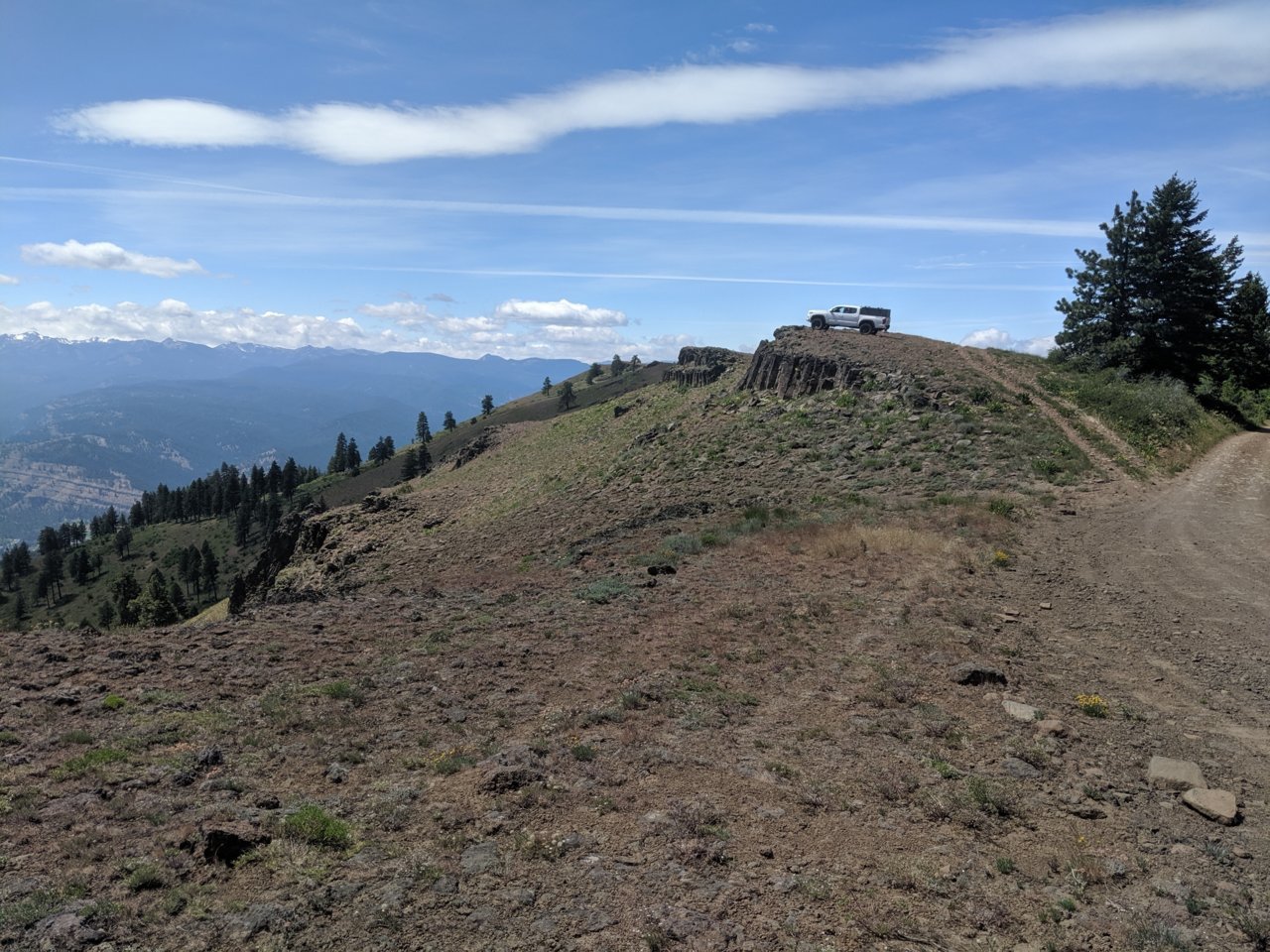 IMG_20190623_141729.jpg