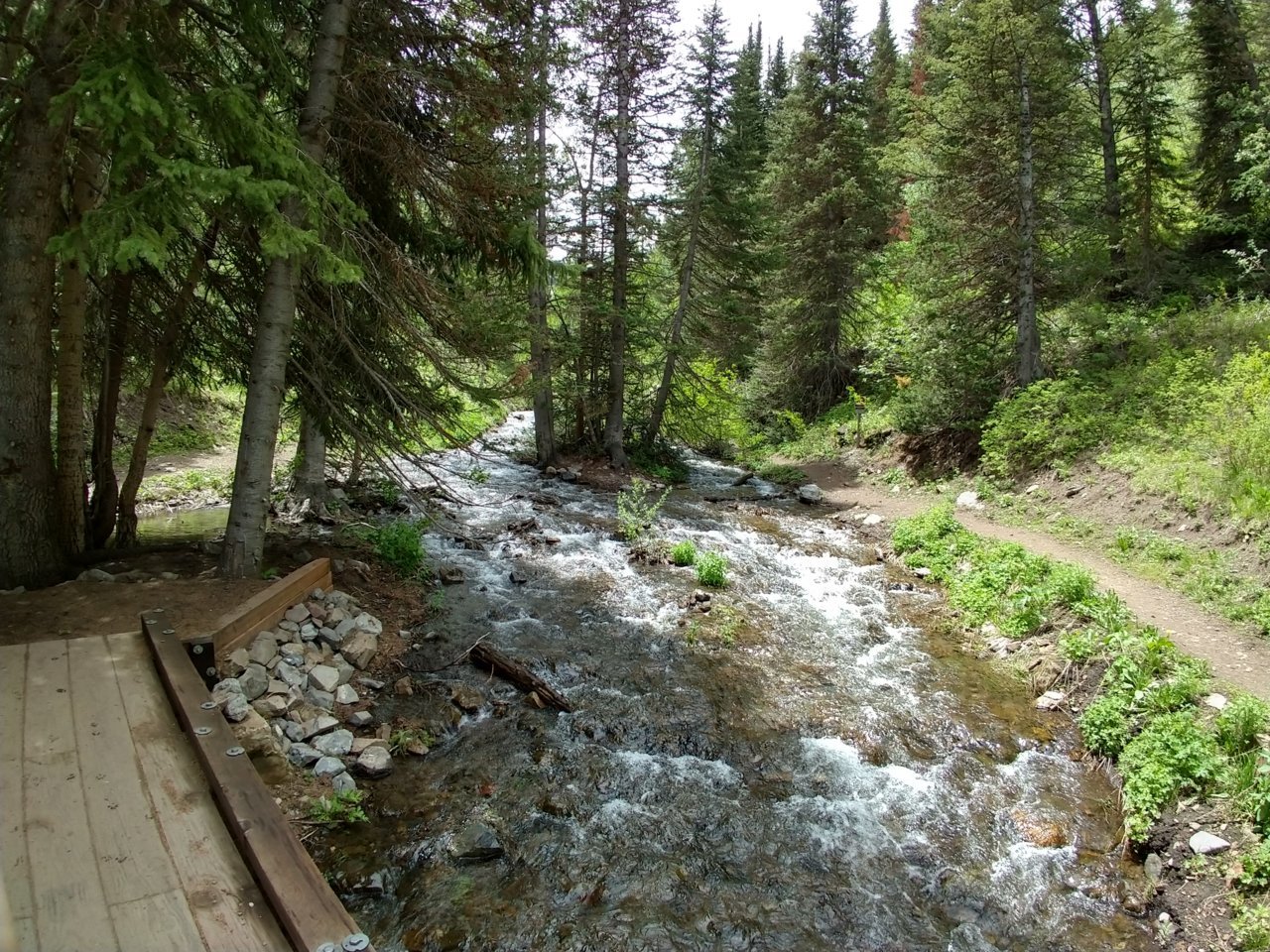 IMG_20190625_123932155_HDR.jpg