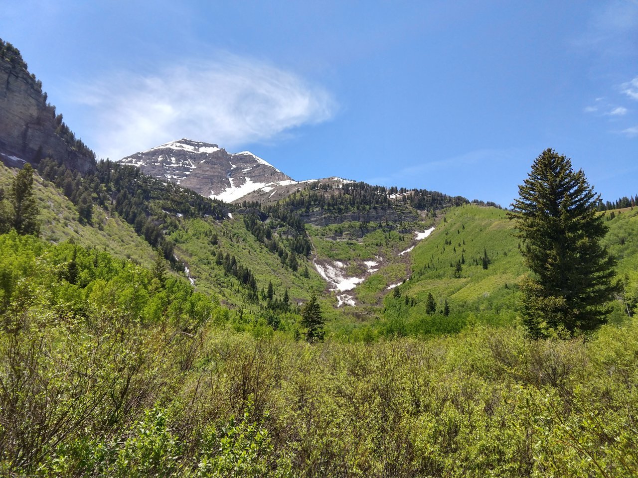 IMG_20190625_132457979_HDR.jpg