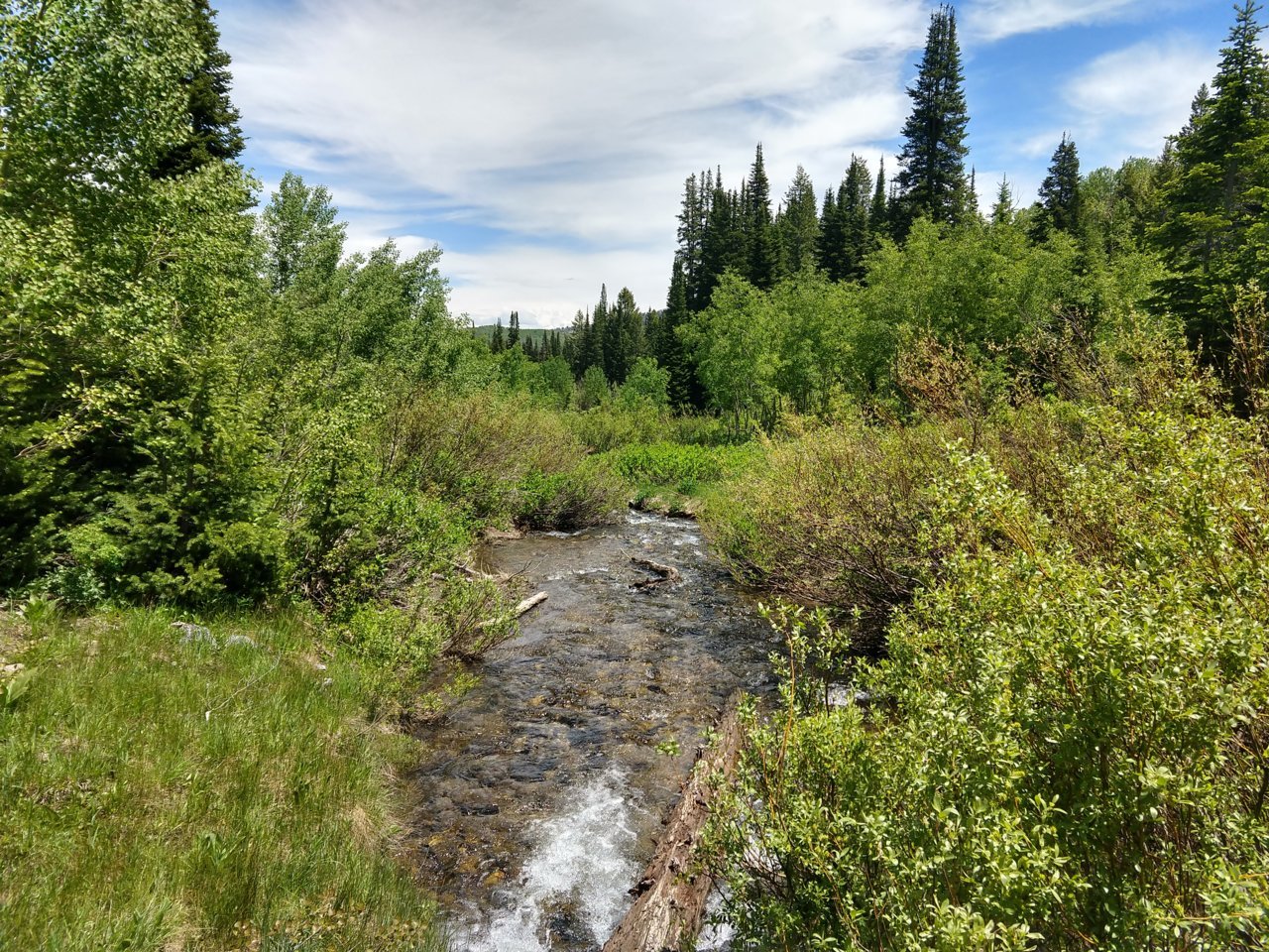 IMG_20190625_132504990_HDR.jpg