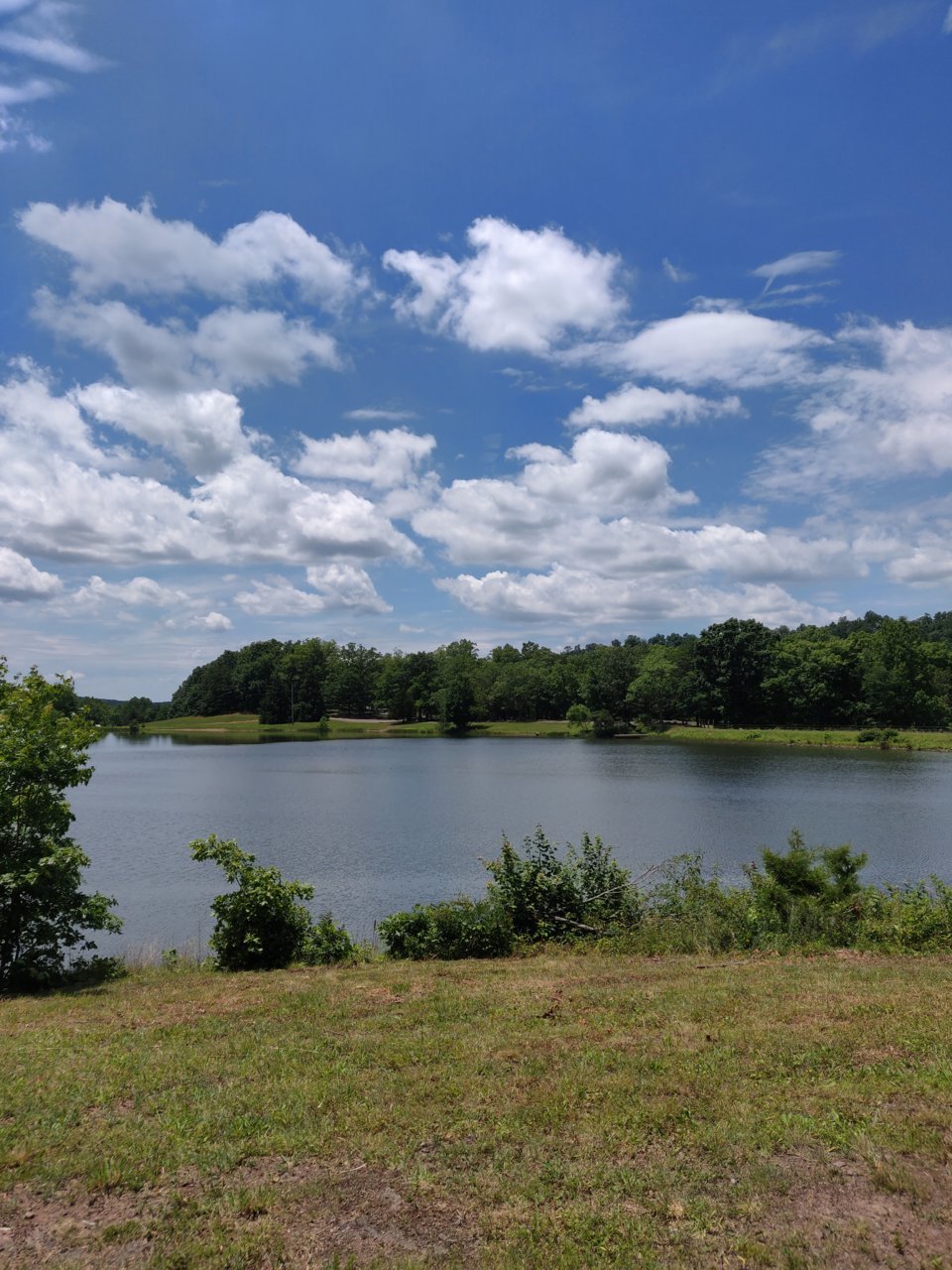 IMG_20190703_132914.jpg