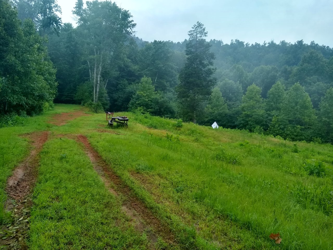 IMG_20190704_184828859_HDR.jpg