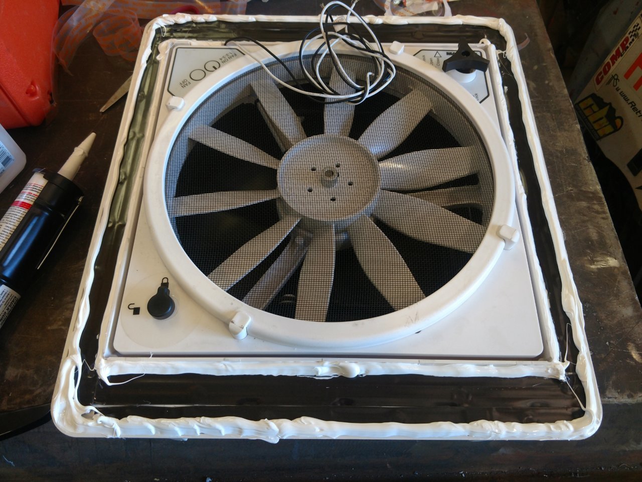 IMG_20190708_123016459_BURST000_COVER_TOP.jpg