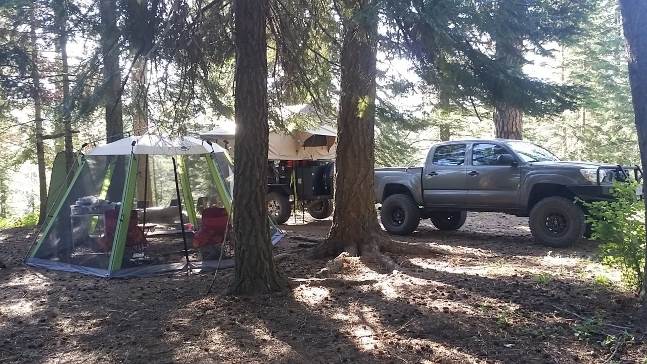 IMG_20190712_090413.jpg