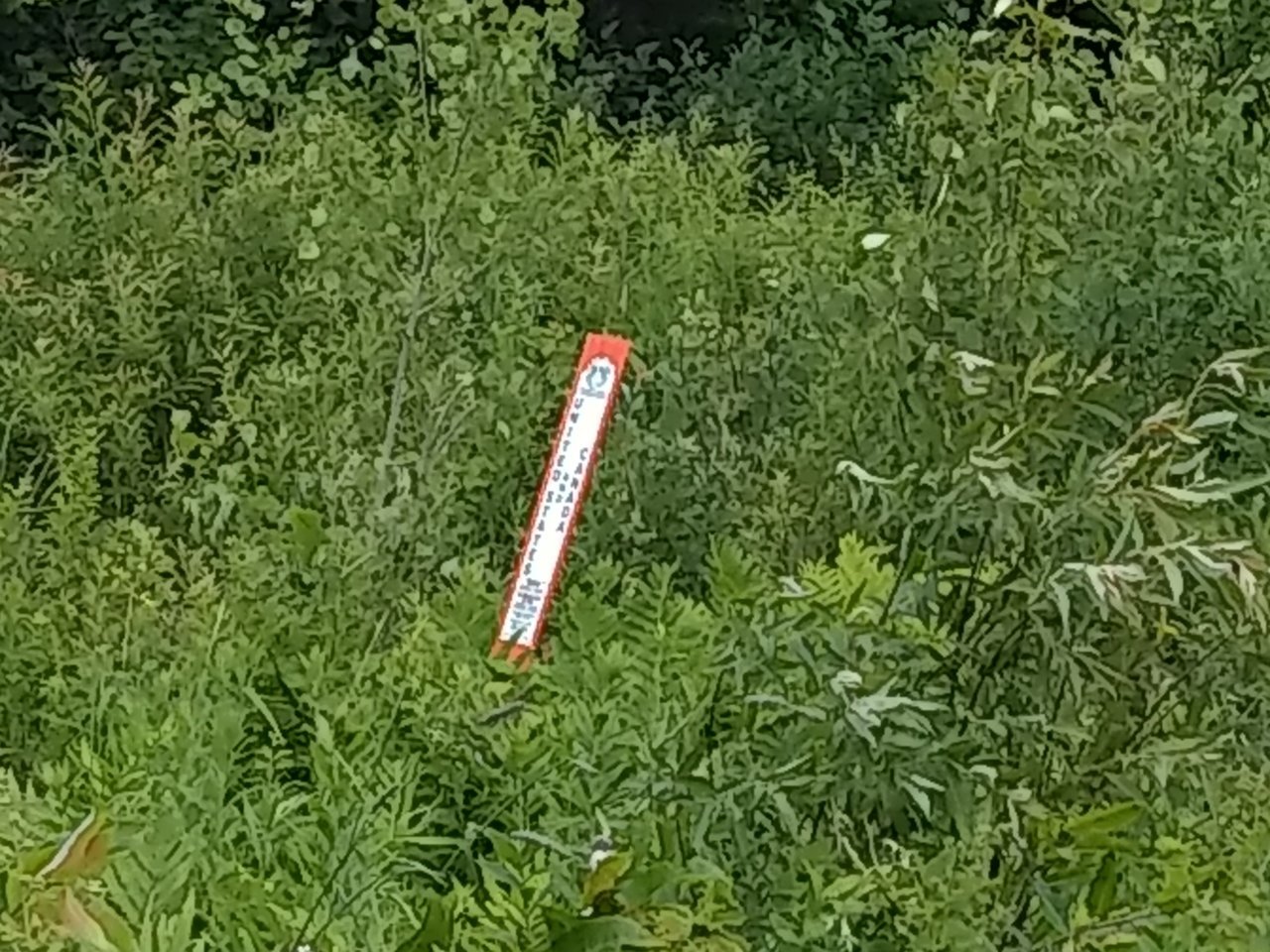 IMG_20190714_103744111.jpg