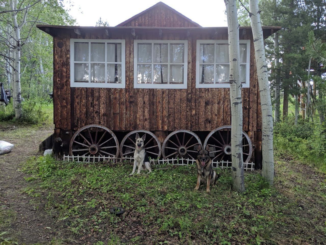 IMG_20190714_173835.jpg