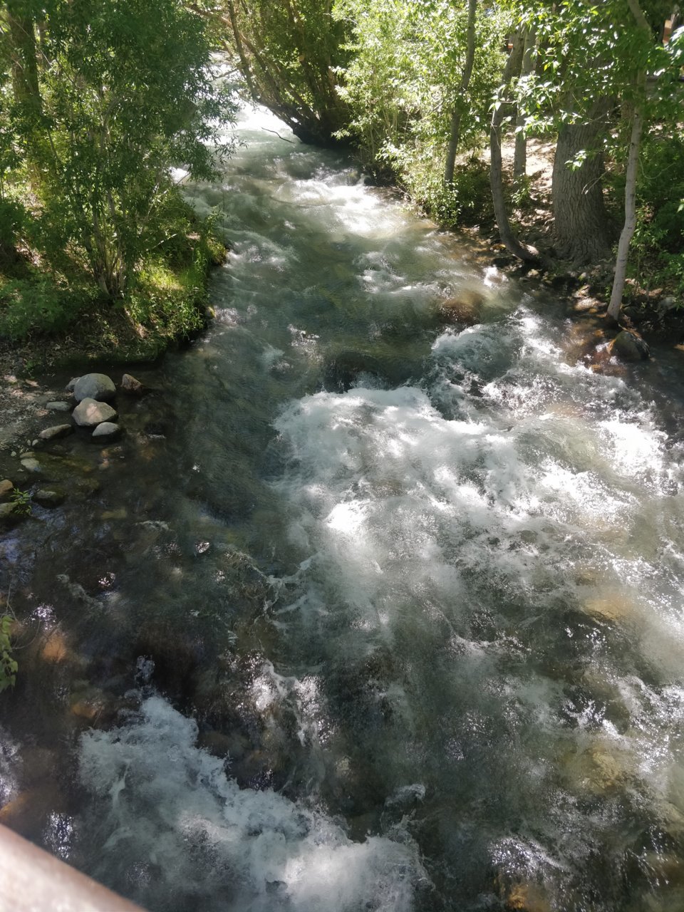 IMG_20190715_120445.jpg