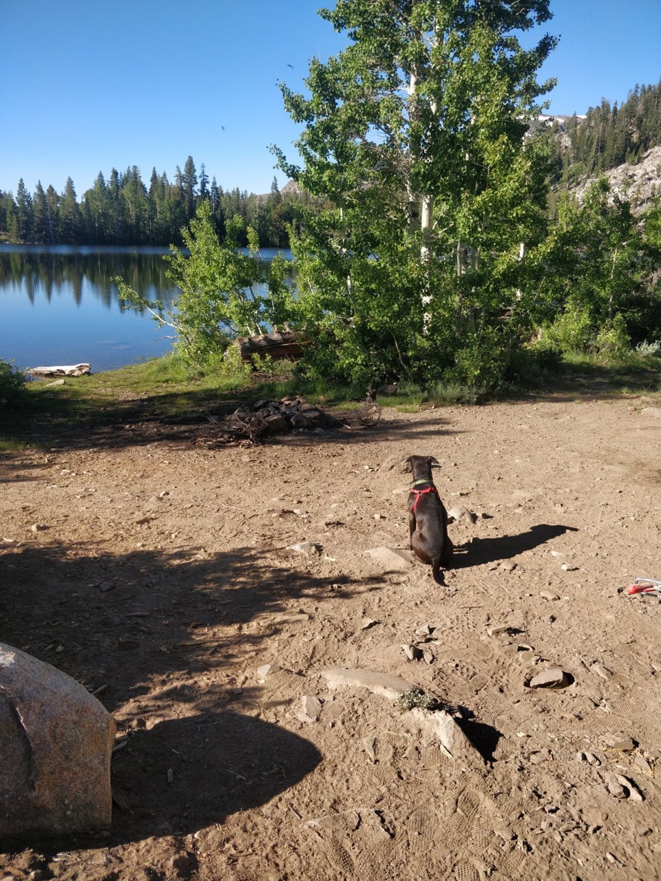 IMG_20190716_082157.jpg