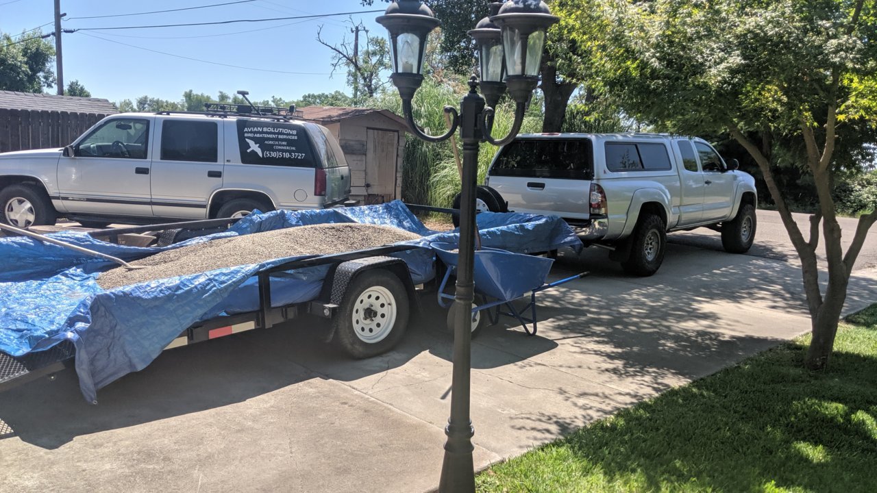 IMG_20190719_115350.jpg