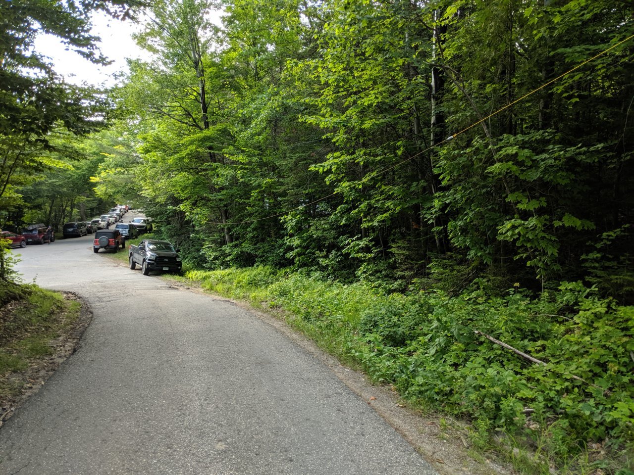 IMG_20190719_170404.jpg