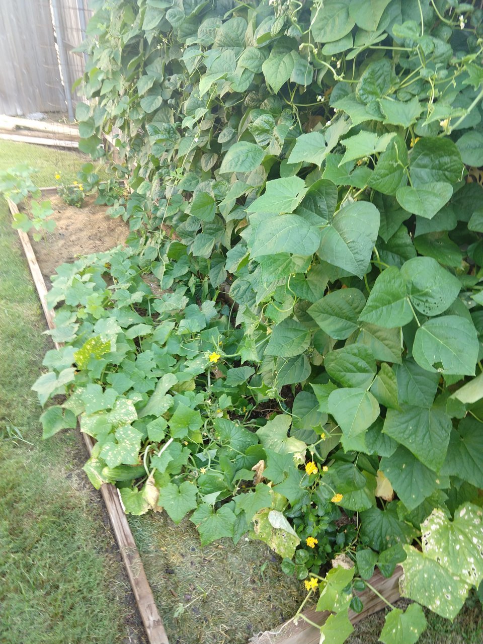 IMG_20190720_084927383.jpg