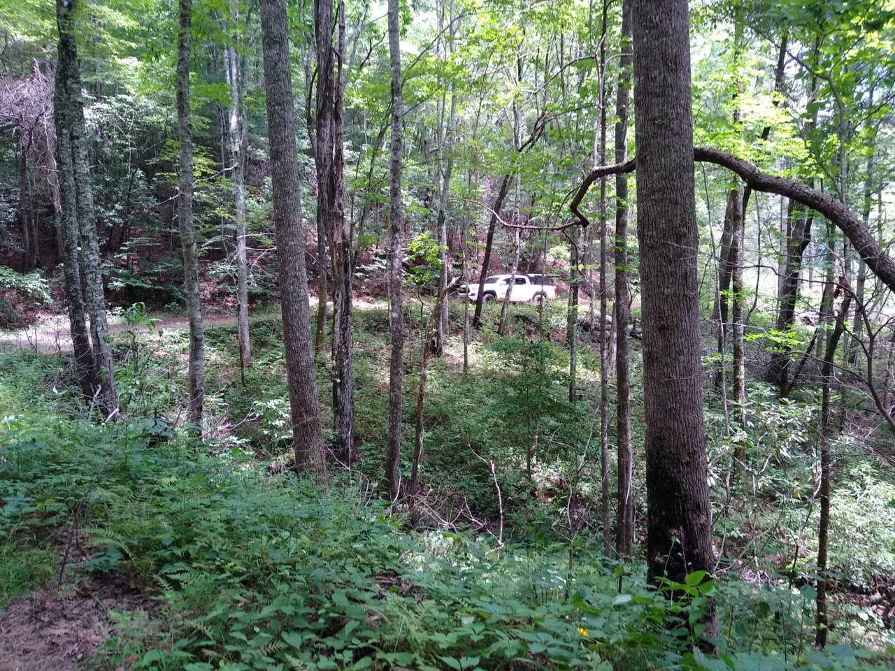 IMG_20190720_134752776.jpg