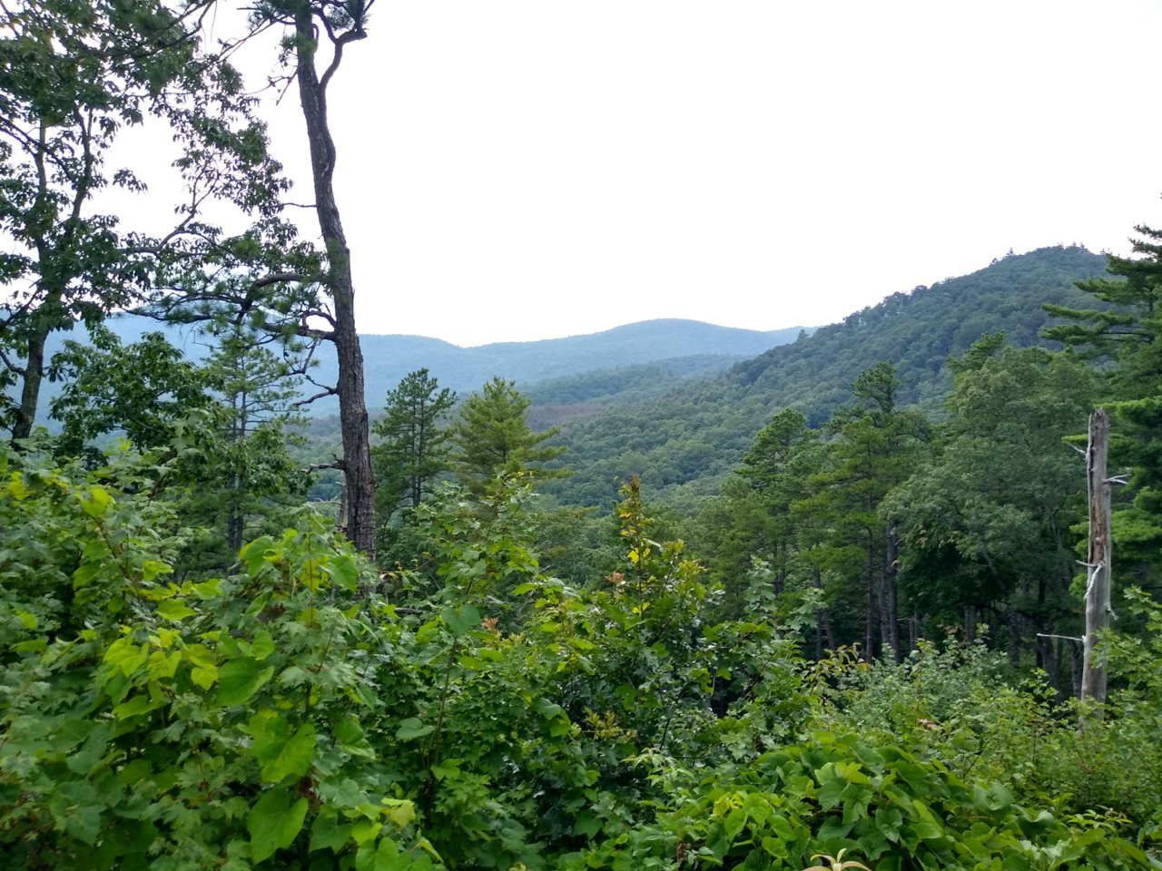 IMG_20190727_144632668_HDR.jpg
