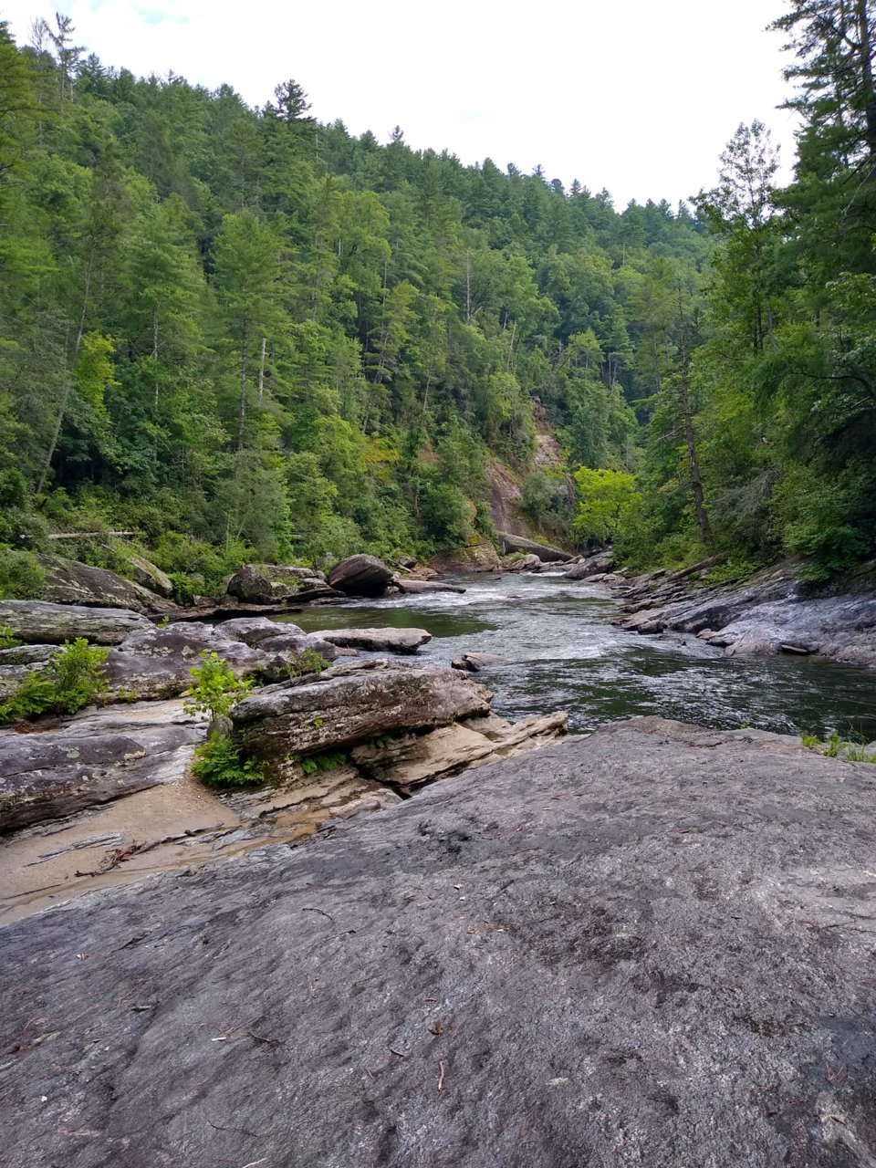 IMG_20190727_171756919_HDR.jpg