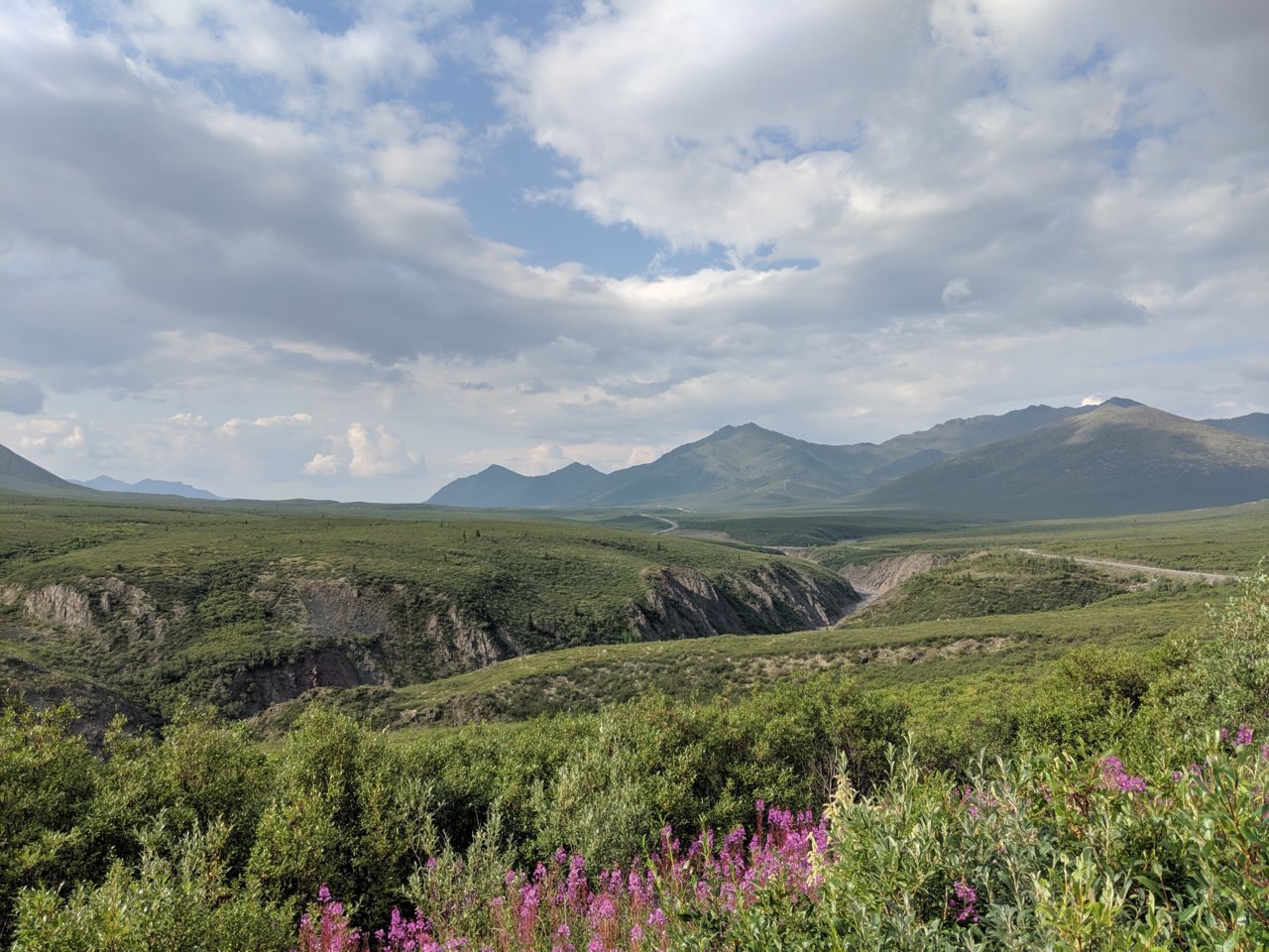 IMG_20190729_184838.jpg