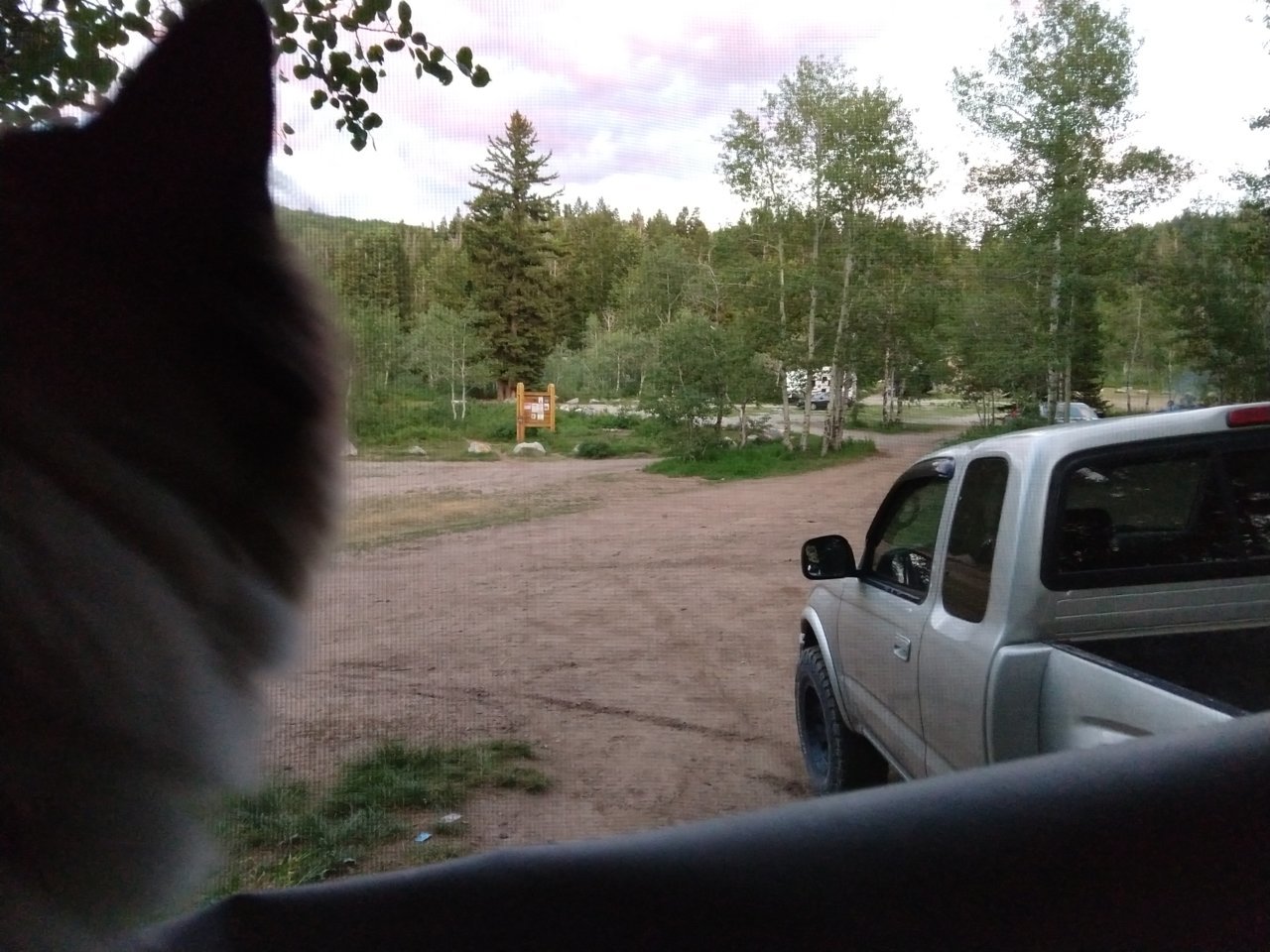 IMG_20190729_204848699.jpg