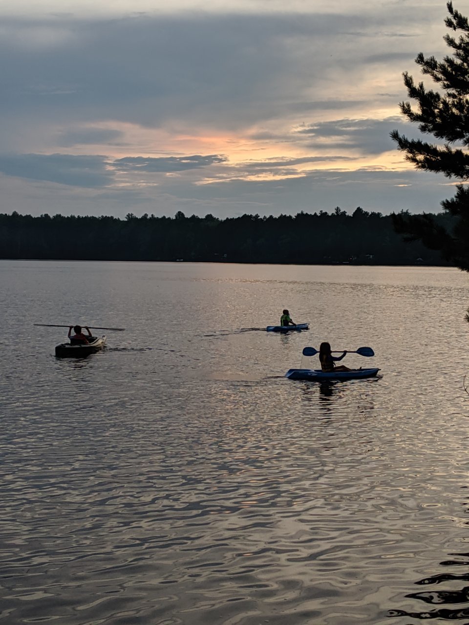 IMG_20190730_202633.jpg