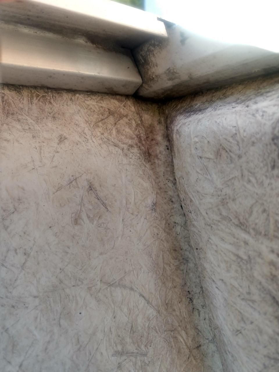 IMG_20190731_182521947_HDR.jpg